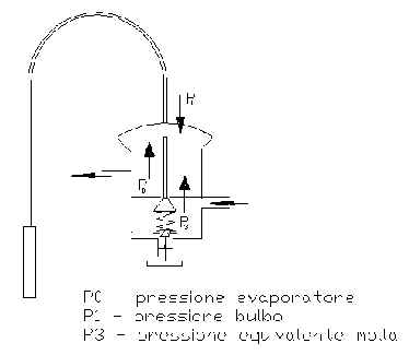 wpe22.jpg (10875 byte)
